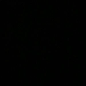 Meet your Posher, Amelia